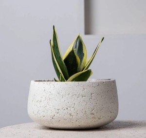 Maceta de hormigón de diseño moderno, Color blanco para el hogar, balcón, jardín, interior y exterior, maceta decorativa de hormigón - Product Image 6