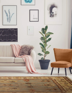 Tapis d'intérieur luxueux fait main noué à la main multicolores Design de nœuds modernes pour salon hôtel bureau commercial maison - Product Image 2