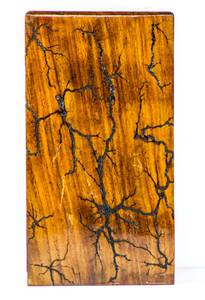 Urne personnalisée pour cendres humaines Crémation Lichtenberg Figure Urne pour cendres humaines Superbe cendres funéraires en bois Urne pour animaux de compagnie - Product Image 4