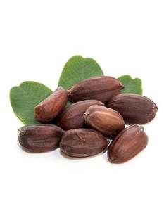 Simmondsia chinensis Jojoba Granulés - Product Image 1