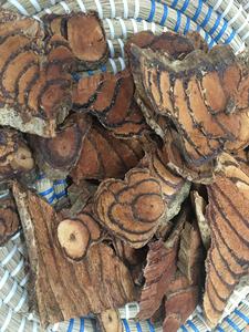 ยา Caulis Spatholobi - Product Image 6