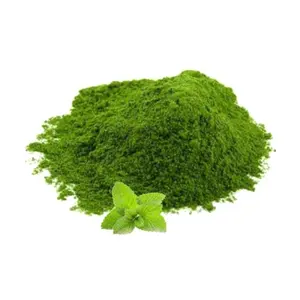 Découvrez l'essence des feuilles de menthe fraîche dans notre poudre de Pudina pure, parfaite pour ajouter une touche de saveur à vos plats