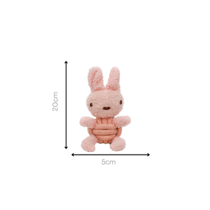 Giocattolo per Animali Domestici Ecologico in Stile Classico con Corda Squeaky e Peluche in Cotone - Product Image 6