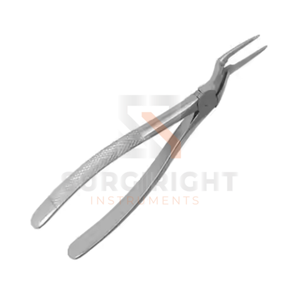 Instrumentos dentales Surgiright, herramientas manuales eléctricas para extracción de punta de raíz, equipo de dentista - Product Image 4