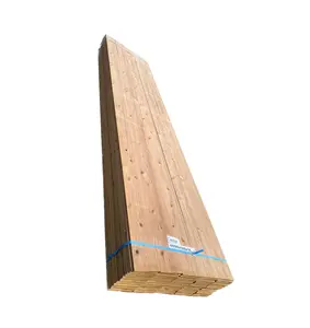 Costruzione di legno Free Board struttura in legno laminato legname trattato a pressione