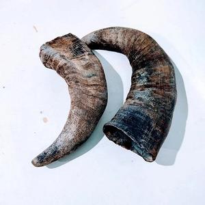 Vente en gros de cornes à mâcher pour chiens de buffle de grande race sculptées style animal nautique artisanat européen et objets de collection - Product Image 5