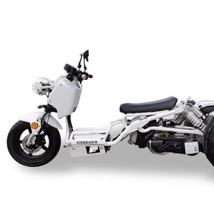 Scooter Icebears Trikes 150cc monoplace - Product Image 5