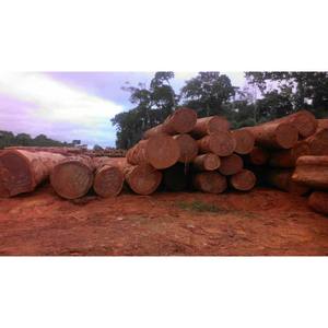Azobe <b>Wood</b> <b>Logs</b> Export Quality, Dense Hardwood, Perfect for Industrial Projects - Product Image 4