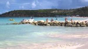 Precios competitivos para pedidos grandes Troncos largos de haya para fabricación de muebles sólidos a granel - Product Image 2