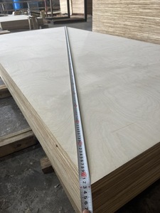 Madera contrachapada de abedul de 4,6-24mm de espesor con certificado de estilo moderno, núcleo de eucalipto, tamaño de 1250x2500mm, cumple con los estándares de exportación E0 para EE. UU. - Product Image 3