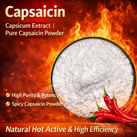 Poudre de capsaïcine pure, extrait naturel de piment de capsicum, poudre de capsaïcine à 98%