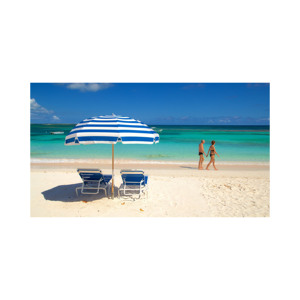 Large Quantities of Versatile & Sturdy Beech <b>Wood</b> <b>Logs</b> Price for Various Projects - Product Image 6