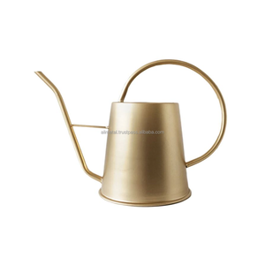 Mini arrosoir en métal au design antique personnalisé pour plantes d'intérieur et d'extérieur ou arrosoir pour arrosage d'eau - Product Image 2