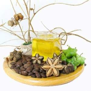 Proveedor de nueces secas Sachi Inchi-Sachi Inchi Hacer ACEITE DE Vietnam - Product Image 2