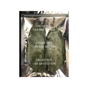 Bolsa de té de Hojas de Guanábana OEM, té de Guanábana verde seco Natural, hojas de Graviola enteras secas para té - Product Image 4