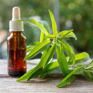 Aceite Esencial de Verbena Limón al por Mayor OEM, Aceite de Aromaterapia y Fragancia Natural de Alta Calidad para Cosméticos, Proveedor de Exportación a Granel - Product Image 1