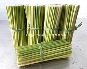 2025 nouveaux accessoires de verres biodégradables de pailles d'herbe jetables écologiques avec échantillon gratuit fabriqués à Eco2go Vietnam - Product Image 5