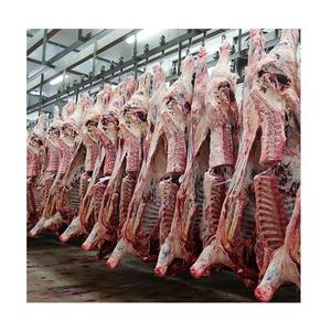 Carcasse de bœuf halal congelée / Pieds de bœuf congelés / Tête de bœuf congelée - Product Image 2