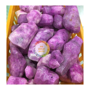 100% เวียดนามออร์แกนิกมันเทศสีขาวม่วงแช่แข็งผลิตภัณฑ์ใหม่ iqf ผักปริมาณมากแพ็คสูญญากาศสีม่วง - Product Image 6