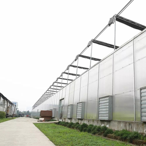 Serre commerciale en polycarbonate pour la production de tomates, de laitues et de légumes - Product Image 5