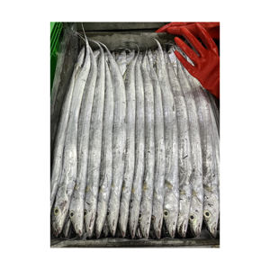 Poisson ruban congelé, approvisionnement en vrac, vente en gros, qualité fiable, exportation de produits de la mer - Product Image 6