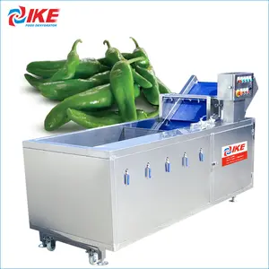 Mesin Pengolah Buah dan Sayur, Peralatan Cuci Sayur, Mesin Pembersih Cabai
