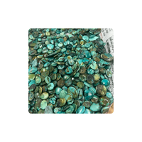 Pierre précieuse naturelle de qualité supérieure, turquoise tibétaine, cabochon, taille brillante, blanc neige, 6,5 mm, 1,00 carat, certifiée par un tiers