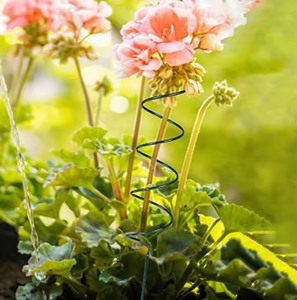 Windproof <b>Plant</b> Support Stability Tomato Twist <b>Stake</b> Supports Spiral <b>for</b> Indoor and Outdoor Potted <b>Plants</b> - Product Image 2