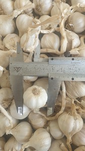 กระเทียมลลี่2023ลสันแบบธรรมดาสีขาวส่งใหม่ส่งออกไปยังประเทศจีนสหภาพยุโรปสหรัฐอเมริกาเกาหลีฟรีภาษี - Product Image 2