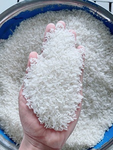 Riz parfumé aromatique au jasmin du Vietnam 5% cassé pour le marché africain - Product Image 3