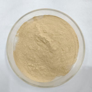 La poudre à base de plantes adulte de marque ISM complète la marque de distributeur personnalisée non pour les femmes enceintes - Product Image 1