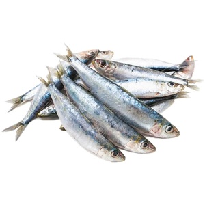 Sardina con pescado, sardina, pescado, pescado - Product Image 1
