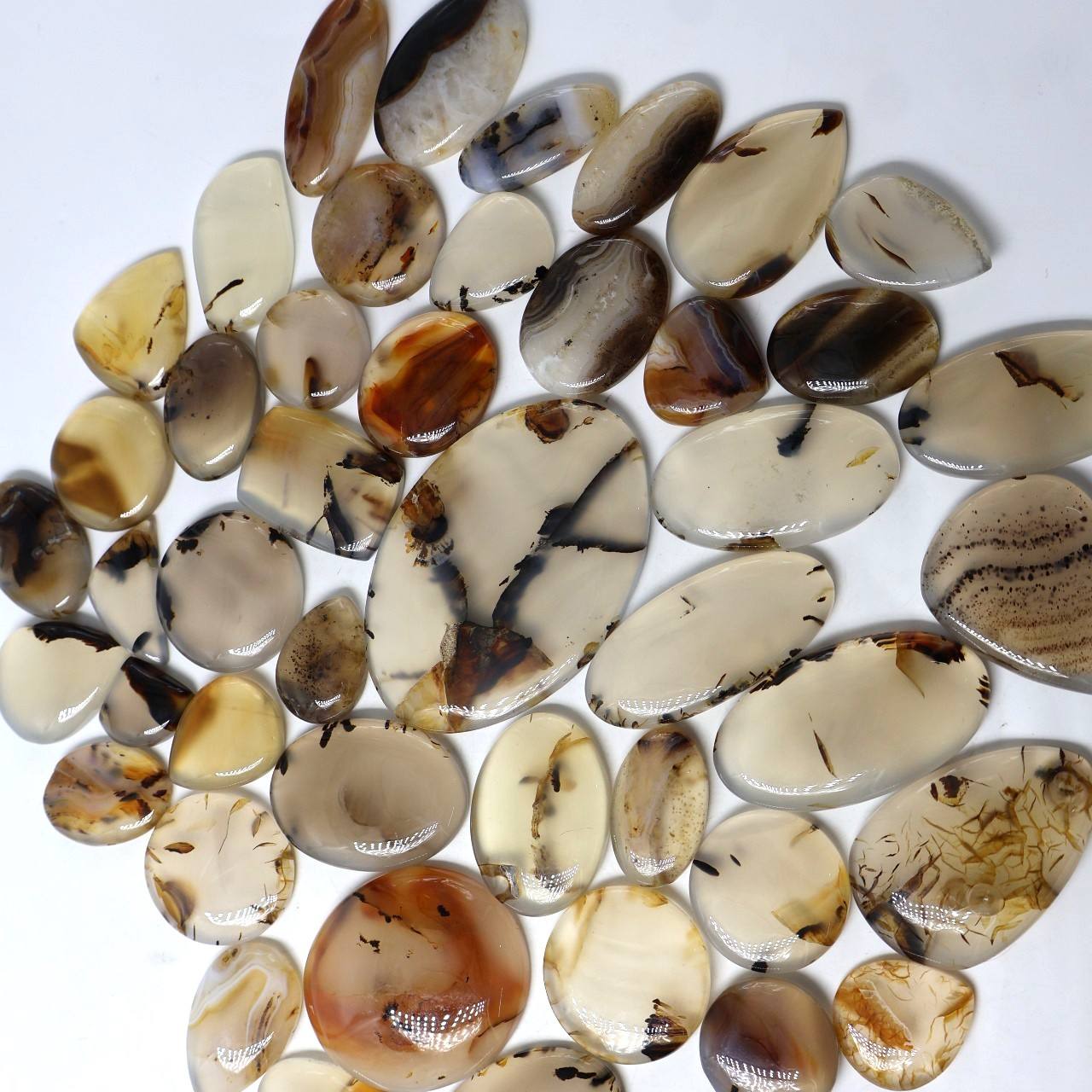 เห็นเป็นรูปภาพ