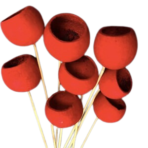 ระฆังถ้วยไม้อบแห้งตามธรรมชาติของตกแต่งบ้านตกแต่งคริสต์มาสที่มีขนาดและสีแตกต่างกัน - Product Image 6