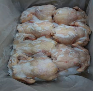 Muslos de Pollo Halal Congelados de Primera Calidad, Pierna Entera, Aves Frescas, IQF, Paquete a Granel, Conservación en Vinagre, Suministro al por Mayor para Exportación - Product Image 1