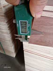 Lámina de Madera de Fresno Comercial BINTANGOR 4x8, Estándares de Emisión de Formaldehído E2, Vietnam - Product Image 3