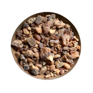 เบนโซอินสยาม/Styrax tonkinensis - Product Image 6