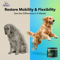 Compléments alimentaires pour animaux de compagnie en gros, glucosamine sous forme de friandises molles pour chiens, soins articulaires et mobilité, approvisionnement direct des fabricants