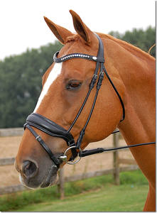 Gran manivela Noseband Snaffle Brida Funcional Estilo occidental Caballo Halter Brida Acabado mate Cuero Suministros ecuestres - Product Image 6