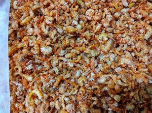 กุ้งแห้งคุณภาพพรีเมี่ยมส่งออกจากเวียดนามพูดสารเคมีฟีและแห้งในแดด - Product Image 4