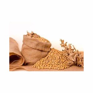 ถั่วเหลืองไม่ใช่ Gmo - Product Image 4