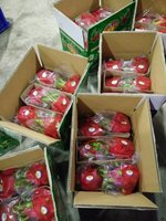 Grote Hoeveelheden Rood Vlezig Drakenfruit Bevat Veel Voedingsstoffen Voor Het Lichaam En Kan In Veel Gerechten Worden Gebruikt