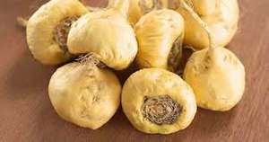 Maca al por mayor Premium - Product Image 4