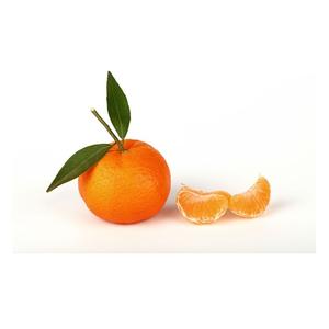 Naranjas frescas de alta calidad al por mayor de origen natural a buen precio de Alemania - Product Image 1