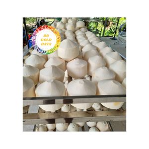 VENTE EN GROS VIETNAM FRAIS JEUNE NOIX DE COCO BIOLOGIQUE DE FRUITS VERTS DOUX QUALITÉ D'EXPORTATION POUR LE MARCHÉ MONDIAL DE HAUTE QUALITÉ - Product Image 5