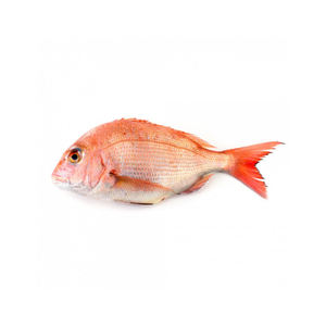 Poisson rouge congelé en gros, proposé pour les commandes de grande quantité avec livraison rapide - Product Image 5