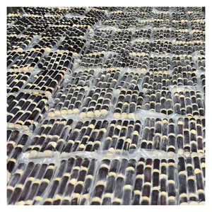 Caña de azúcar congelada fresca y jugosa de Vietnam con aroma auténtico, caña de azúcar congelada de primera calidad, ideal para uso y exportación de bebidas - Product Image 1