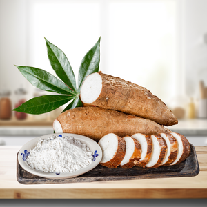 Polvo de harina de tapioca orgánica hecho en Vietnam bolsa de almacenamiento de 24 meses gran cantidad al por mayor para distribución global - Product Image 3