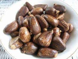 Jamaican Good Quality Breadnuts for Sale - Product Image 5