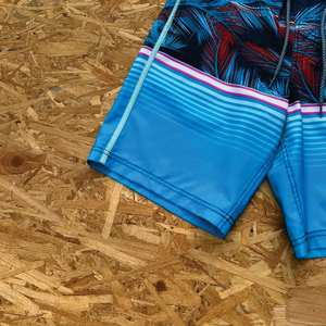 Pantalones Cortos de Playa para Hombre, de Secado Rápido, Traje de Baño, Shorts de Playa, Ropa de Natación Masculina, Venta al Por Mayor - Product Image 4
